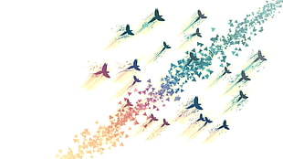 multicolored birds on white background, flying, birds, white background, triangle