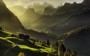 landscape photography of grass-covered mountain range