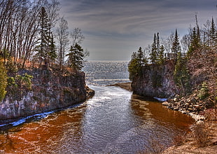 body of water between of green trees, temperance river
