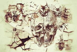 skull sketch and vitruvian man photo