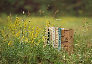 selective color of seven books on grass field