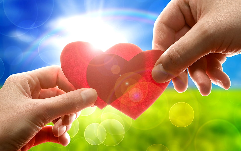 two hand holding red heart papers during day time HD wallpaper
