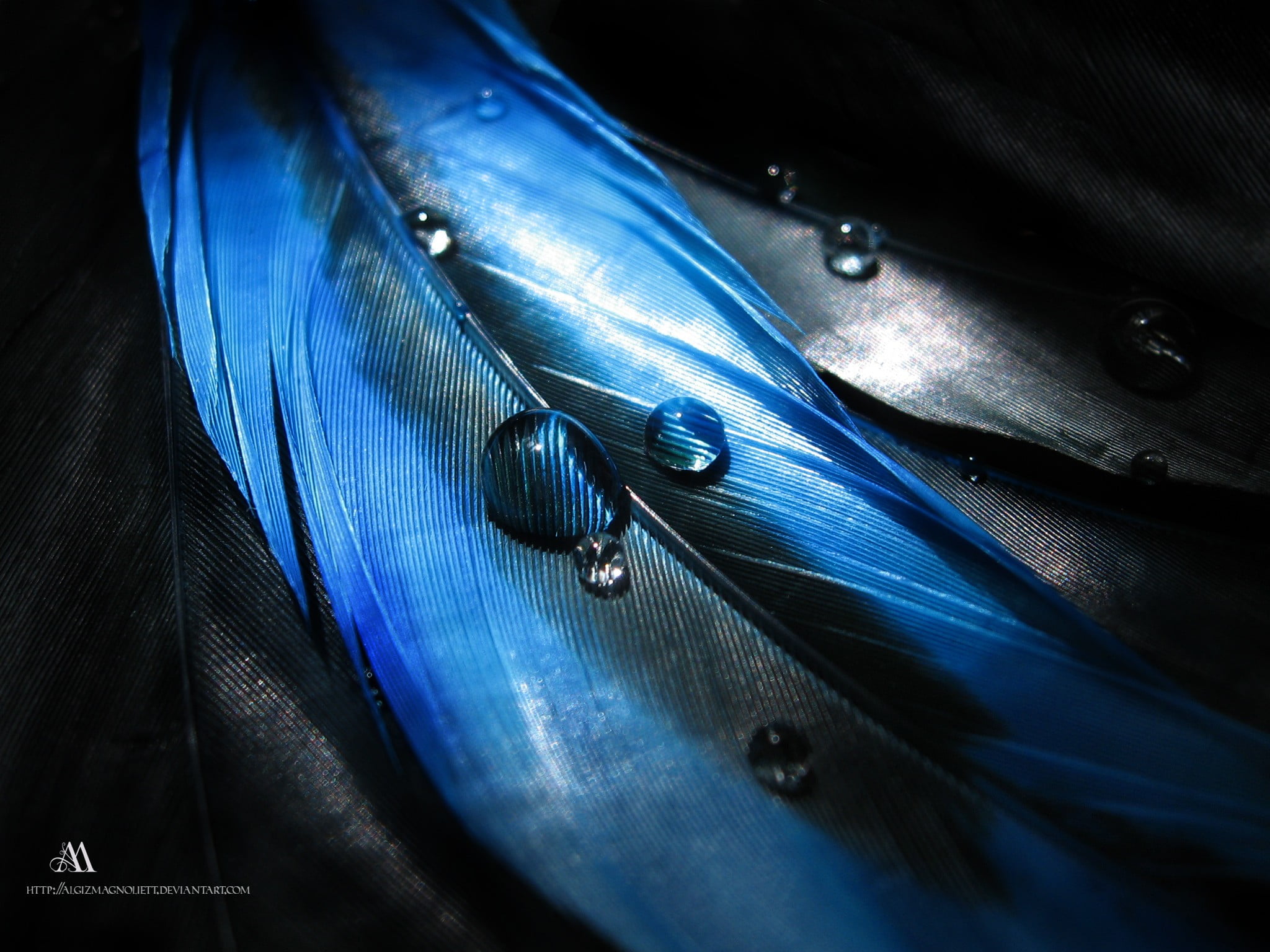 Blue and black inflatable boat, digital art, feathers HD wallpaper |  Wallpaper Flare