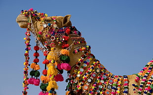 brown camel in multicolored accessories HD wallpaper