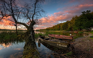 brown wooden canoe, nature, landscape, trees, boat