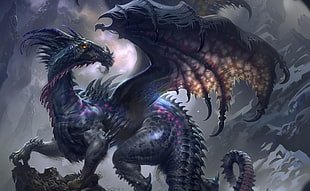 black dragon illustration HD wallpaper