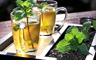 two clear glass tea with eucalyptus leaf on brown tray