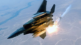 black fighting jet, military aircraft, airplane, jets, sky
