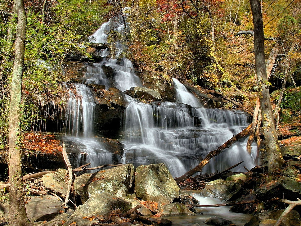 trees with waterfalls and drying leaves with rock hills during daytime HD wallpaper