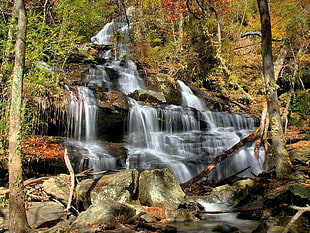 trees with waterfalls and drying leaves with rock hills during daytime