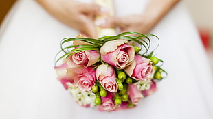 pink and green flower bouquet on woman's hand HD wallpaper