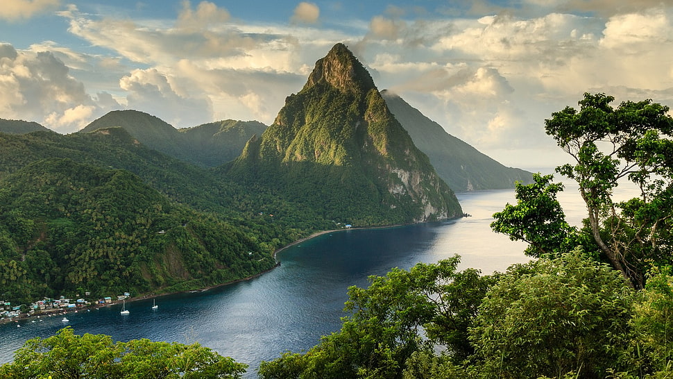 green trees, landscape HD wallpaper