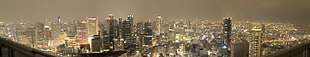 aerial photo of city, cityscape, Japan