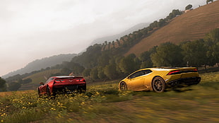 two red and yellow supercars digital wallpaper, Forza Horizon 2, video games