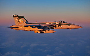 gray jet plane, Boing F/A-18F Super Hornet