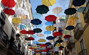 multicolored floating umbrellas during daytime