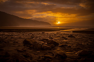 landscape photo of golden hour in beach, jackson creek HD wallpaper