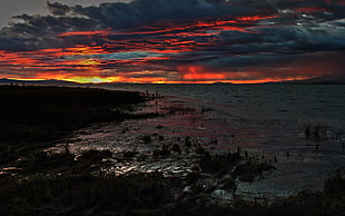 seashore under gray sky at golden hour, landscape, sky, clouds