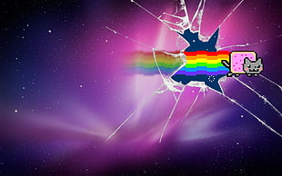 rainbow pet digital wallpaper, furry, Nyan Cat, broken glass HD wallpaper