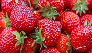 close up photo of bunch of strawberries