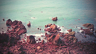 rock lot, nature, coast, sea, rock HD wallpaper