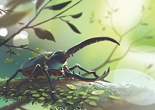 Hercules beetle surrounded by leaves digital wallpaper, nature, insect, Beetle, leaves