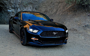 black Ford Mustang during daytime