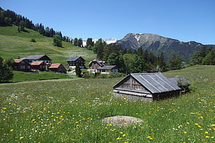 gray wooden house near green grass mountain