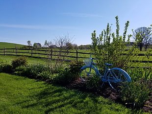 blue city bike near garden at daytime