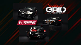 Grid autosport illustration, grid autosport, racing, Racing Club, computer game HD wallpaper