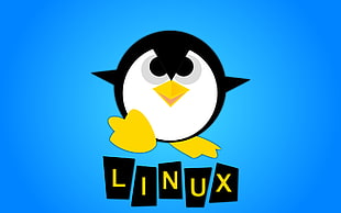 Linux logo, Linux, GNU HD wallpaper
