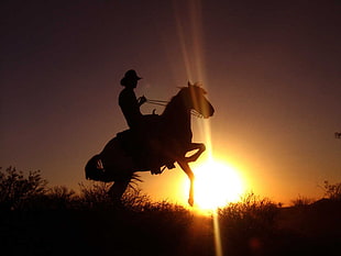 silhouette of man riding horse, sunset, cowboys, horse, silhouette HD wallpaper