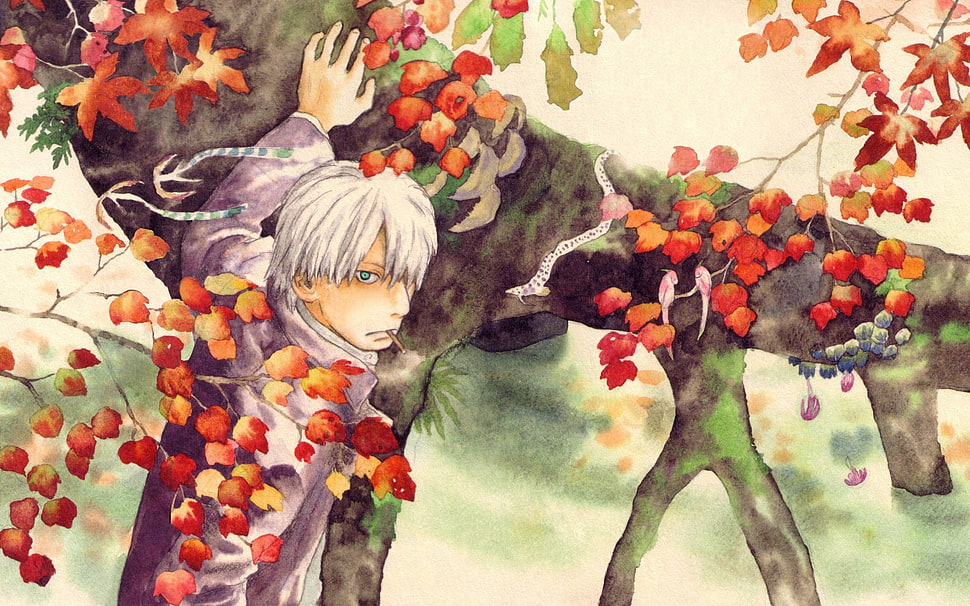man wearing gray shirt beside tree painting, Mushishi, anime HD wallpaper