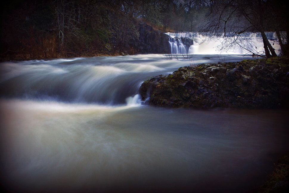 photo of river stream beside trees HD wallpaper