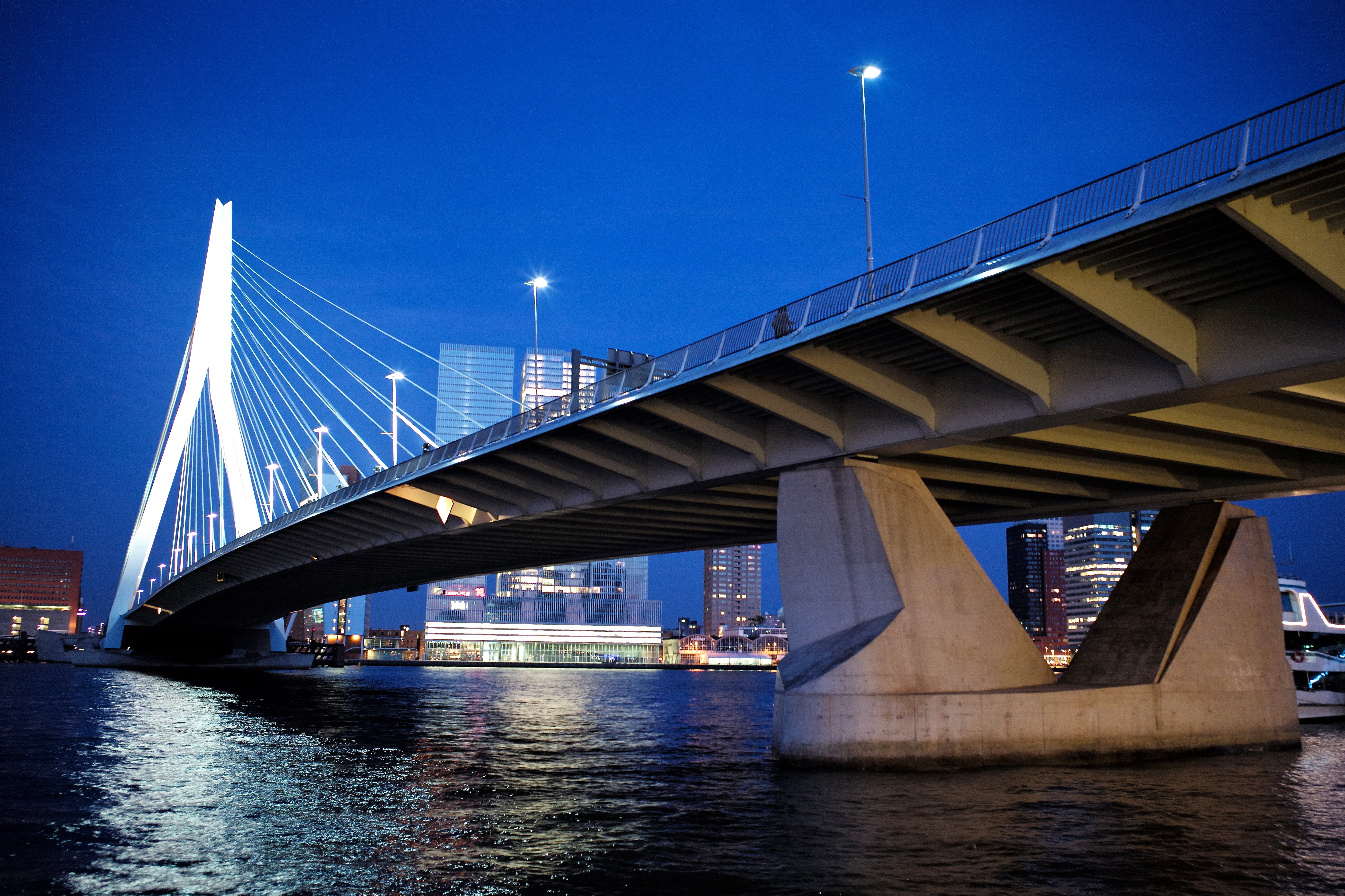 suspension bridge on body of water during nighttime