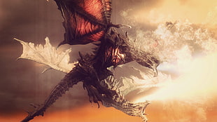 black and brown dragon illustration, dragon, The Elder Scrolls V: Skyrim