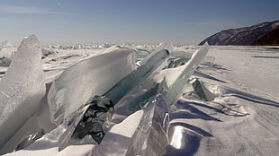 clear icebergs, ice, snow, glaciers HD wallpaper