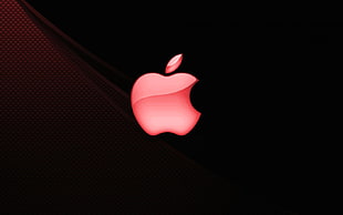 person showing Apple logo HD wallpaper