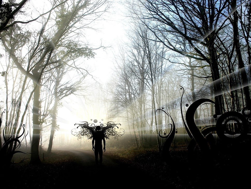 angel in forest illustration HD wallpaper