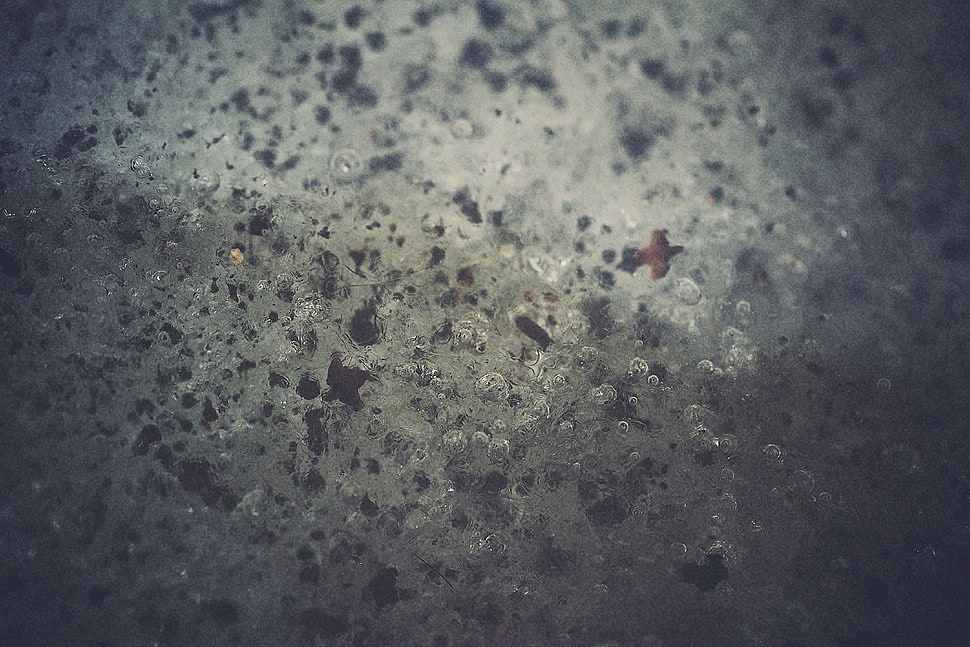 macro, photography, bubbles, ice HD wallpaper