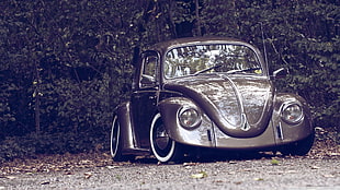 gray Volkswagen Beetle, Volkswagen Beetle, Volkswagen, camber, nature HD wallpaper