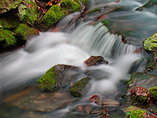 green and gray water flowing river HD wallpaper