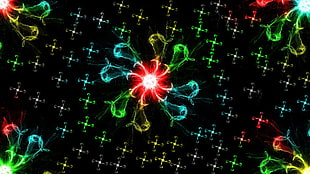 green, yellow, red, and black digital wallpaper