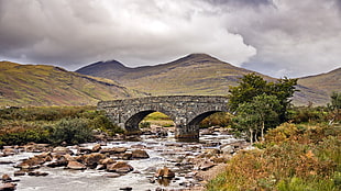 brown concrete bridge, nature, HDR, bridge, river