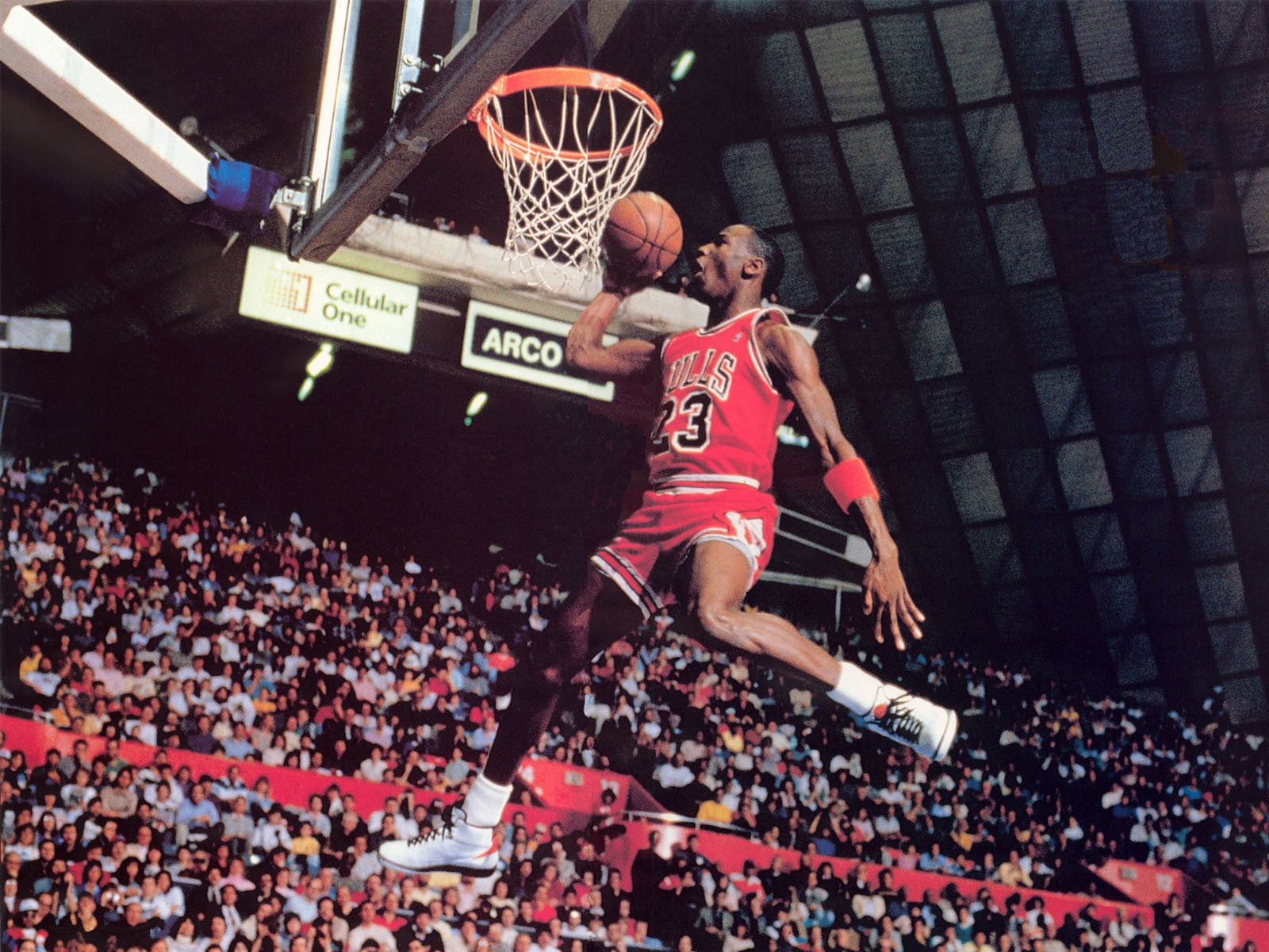 Michael Jordan, men, sports, basketball, Michael Jordan