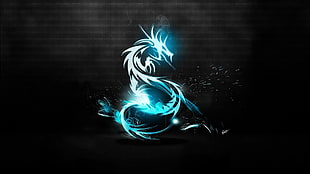 white and blue dragon illustration