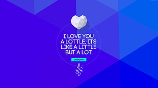 I Love You A Lottle, Its Like A Little But A Lot text