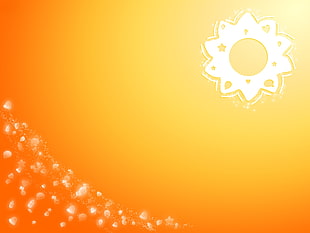 white and yellow floral illustration HD wallpaper
