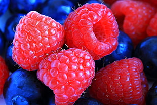 raspberry and blueberry lot