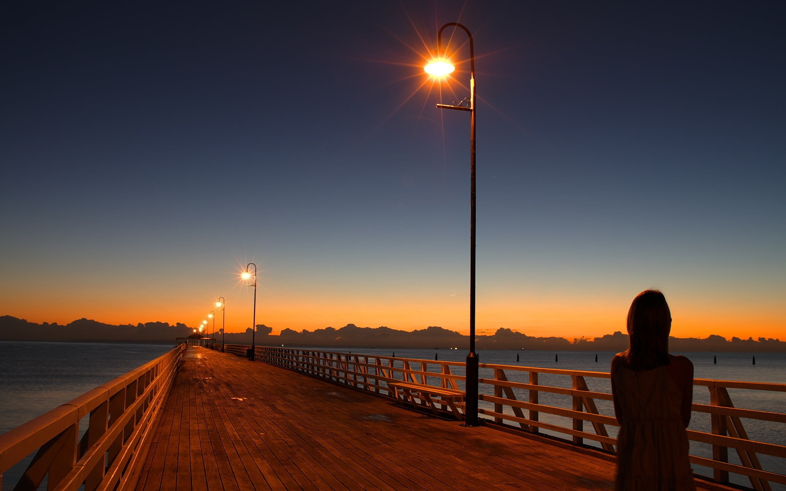 Brown Wooden Bridge Nature Hd Wallpaper Wallpaper Flare